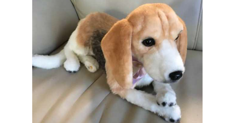 「母を元気にしてあげたい」 娘が母に贈ったのは "愛犬のオーダーメイドぬいぐるみ" でした