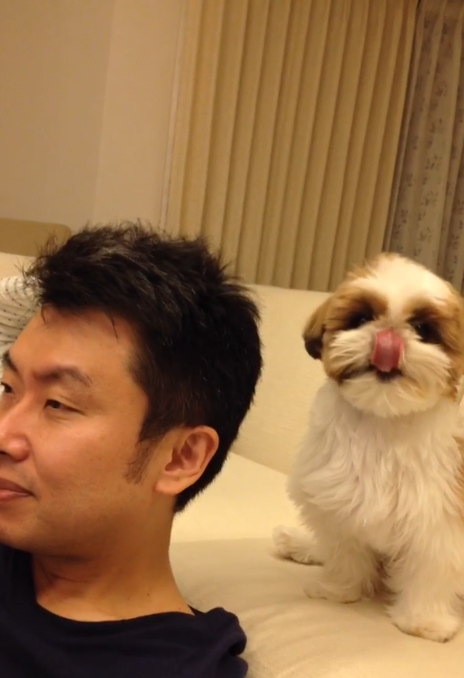 動物,犬,猫,しつけ,飼い方,育て方,病気,健康