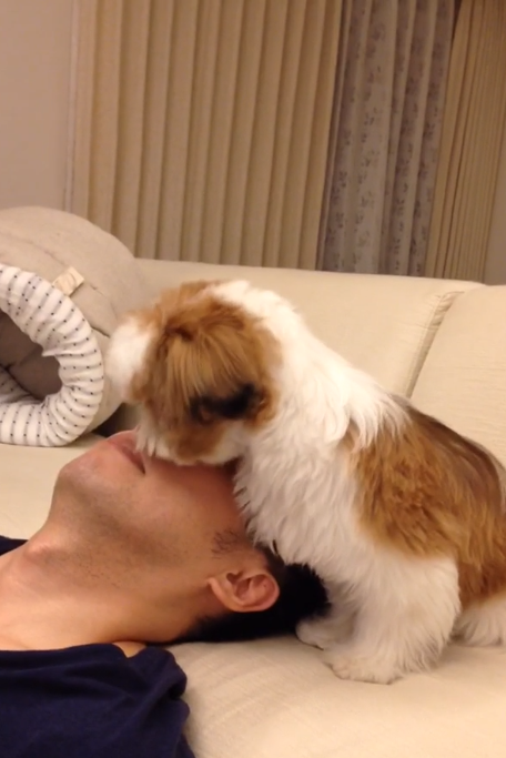 動物,犬,猫,しつけ,飼い方,育て方,病気,健康