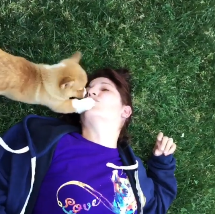 動物,犬,猫,しつけ,飼い方,育て方,病気,健康