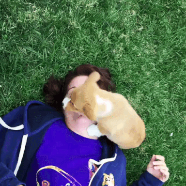 動物,犬,猫,しつけ,飼い方,育て方,病気,健康