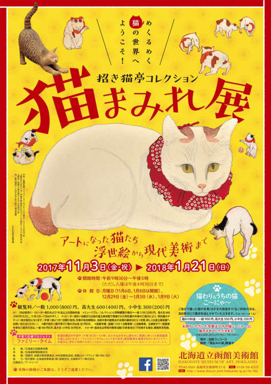 動物,犬,猫,しつけ,飼い方,育て方,病気,健康