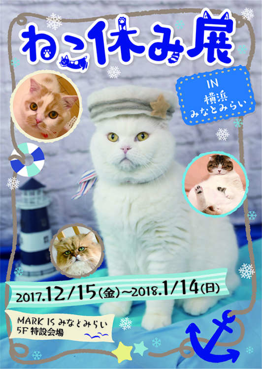 動物,犬,猫,しつけ,飼い方,育て方,病気,健康