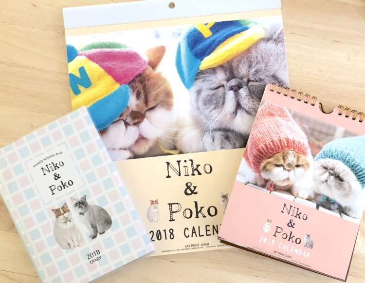 動物,犬,猫,しつけ,飼い方,育て方,病気,健康