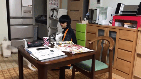 動物,犬,猫,しつけ,飼い方,育て方,病気,健康