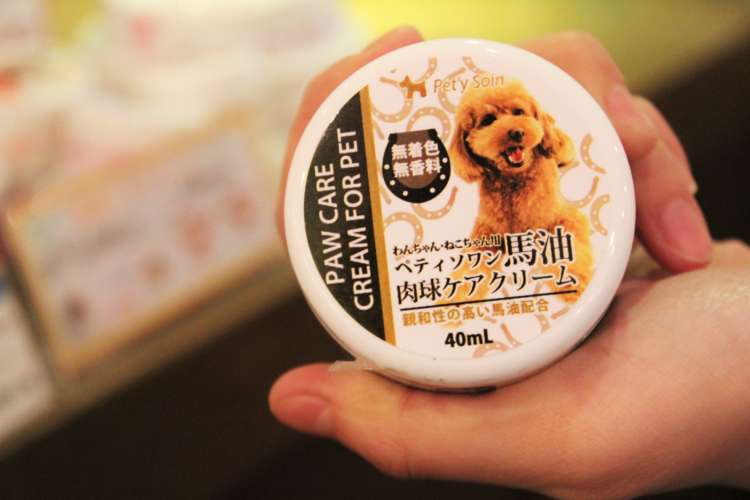 動物,犬,猫,しつけ,飼い方,育て方,病気,健康