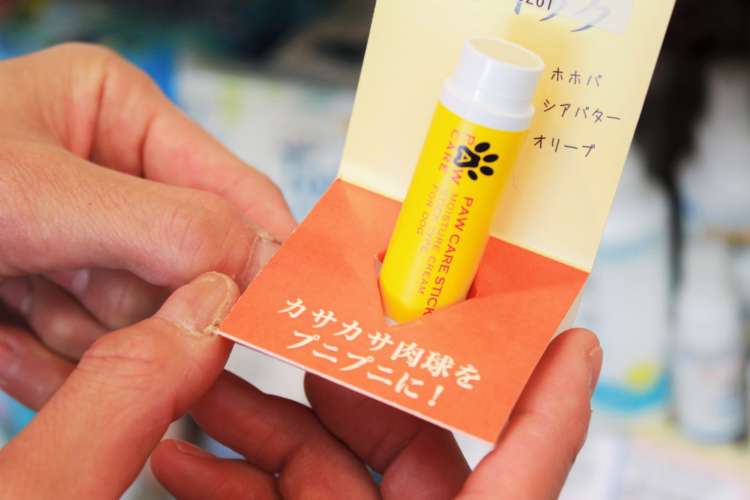 動物,犬,猫,しつけ,飼い方,育て方,病気,健康