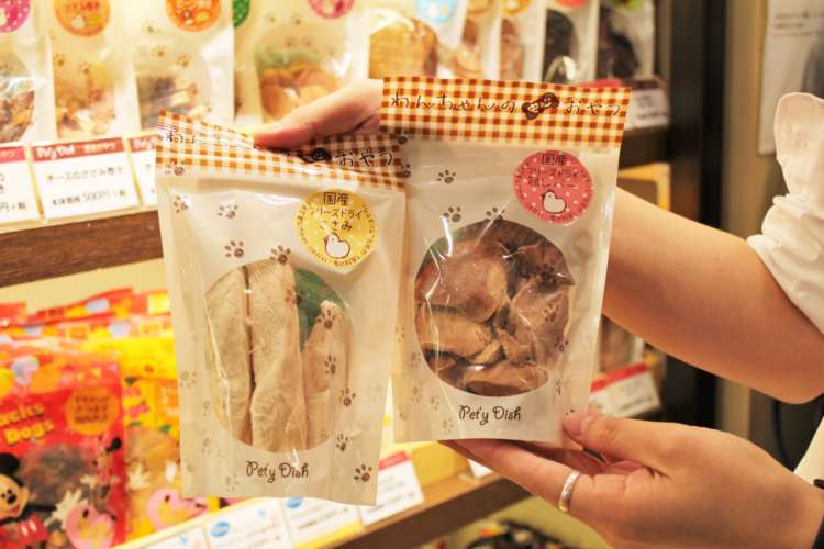 動物,犬,猫,しつけ,飼い方,育て方,病気,健康