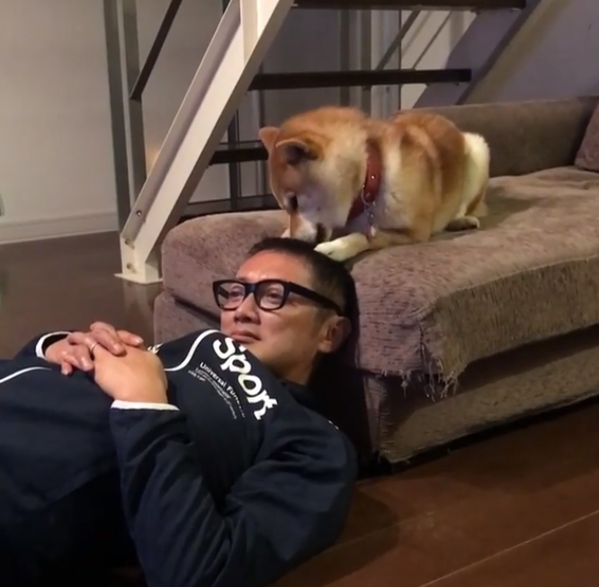 動物,犬,猫,しつけ,飼い方,育て方,病気,健康