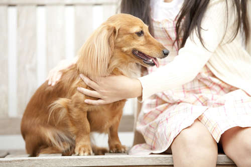 動物,犬,猫,しつけ,飼い方,育て方,病気,健康