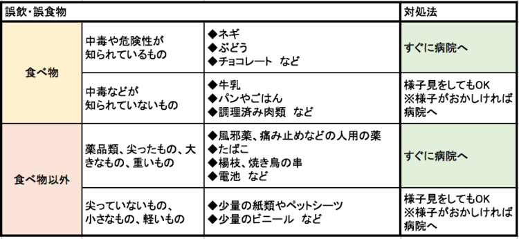 動物,犬,猫,しつけ,飼い方,育て方,病気,健康