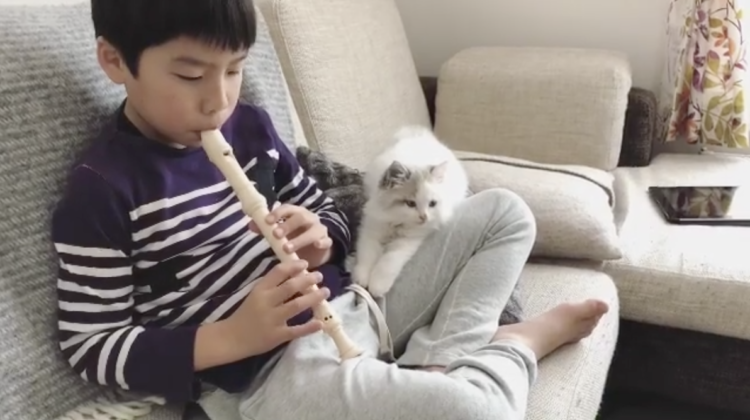 動物,犬,猫,しつけ,飼い方,育て方,病気,健康