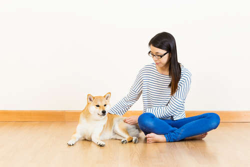 動物,犬,猫,しつけ,飼い方,育て方,病気,健康