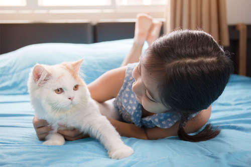 動物,犬,猫,しつけ,飼い方,育て方,病気,健康