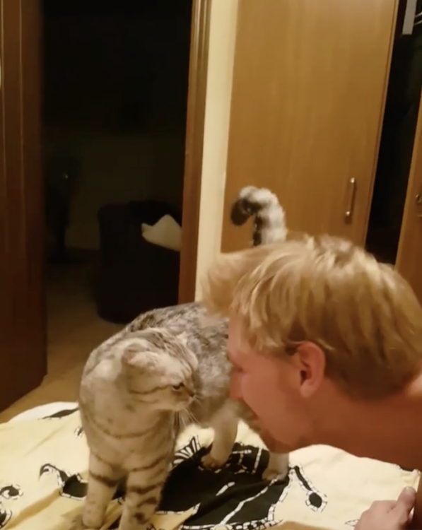 動物,犬,猫,しつけ,飼い方,育て方,病気,健康
