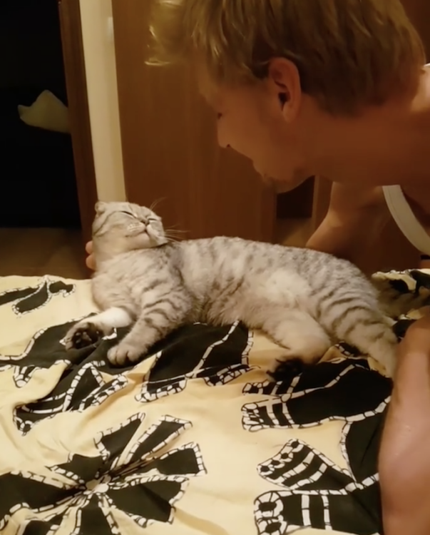 動物,犬,猫,しつけ,飼い方,育て方,病気,健康