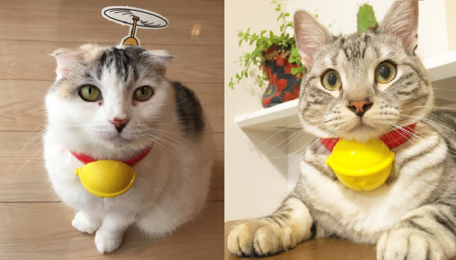 【試してみたい】ハッピーセットを猫につけると→ “リアルねこ型ロボット” になれると話題♡