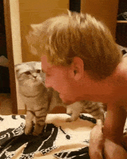 動物,犬,猫,しつけ,飼い方,育て方,病気,健康