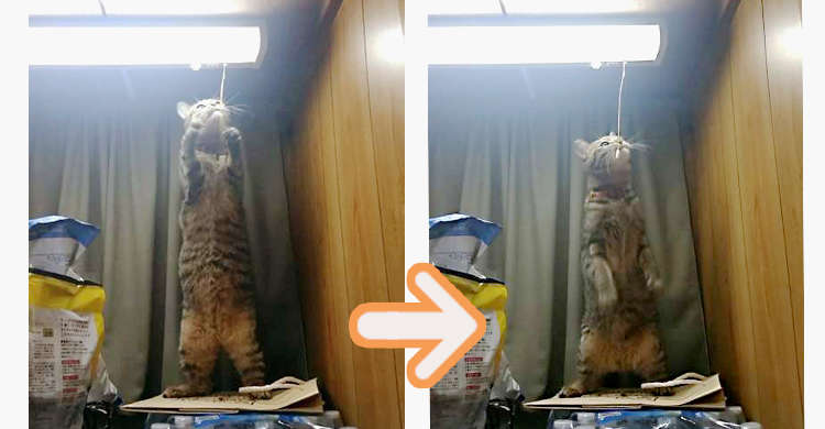 【怪現象の犯人は…】電気が勝手についたり消えたり→ ついに、その原因が明らかになる… ( ´∀`)!