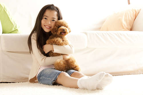 動物,犬,猫,しつけ,飼い方,育て方,病気,健康