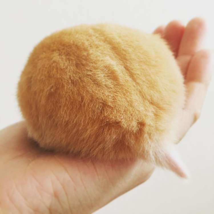7.