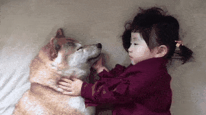 動物,犬,猫,しつけ,飼い方,育て方,病気,健康