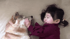 動物,犬,猫,しつけ,飼い方,育て方,病気,健康