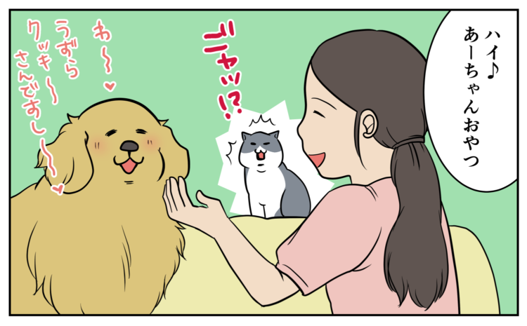 動物,犬,猫,しつけ,飼い方,育て方,病気,健康
