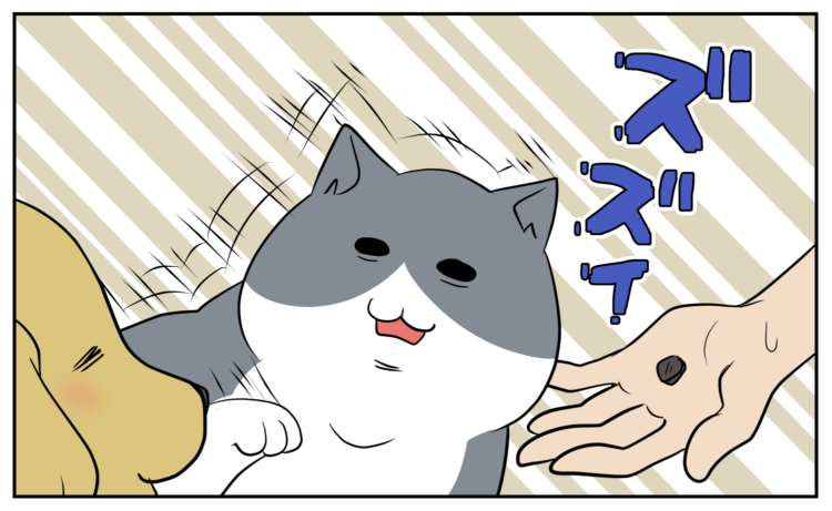 動物,犬,猫,しつけ,飼い方,育て方,病気,健康