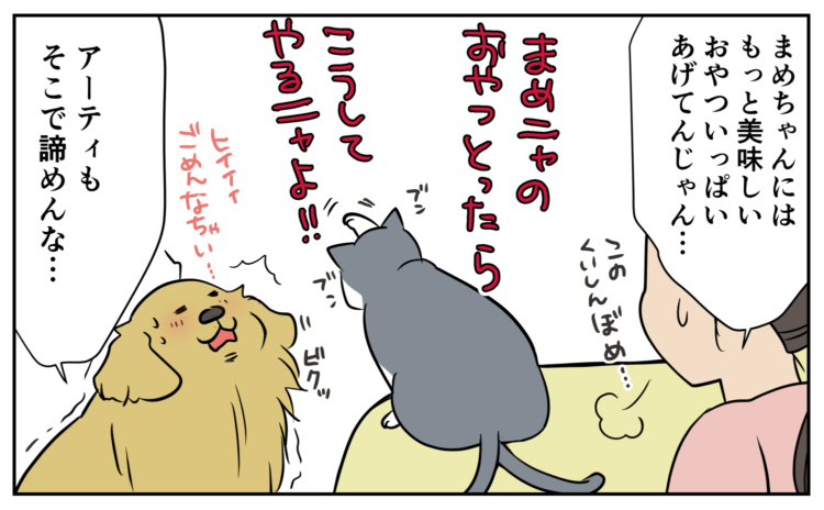 動物,犬,猫,しつけ,飼い方,育て方,病気,健康