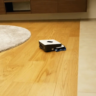 動物,犬,猫,しつけ,飼い方,育て方,病気,健康