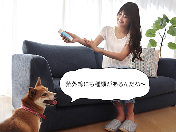 動物,犬,猫,しつけ,飼い方,育て方,病気,健康