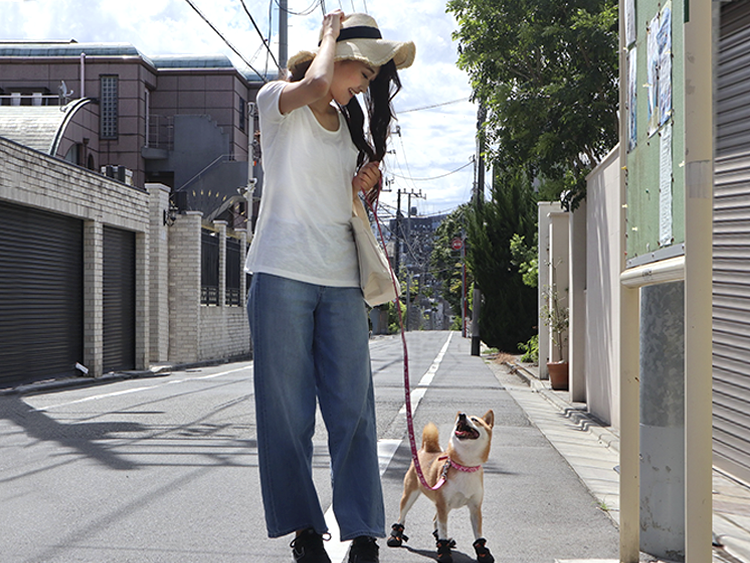 動物,犬,猫,しつけ,飼い方,育て方,病気,健康
