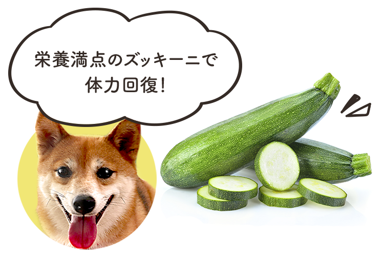 動物,犬,猫,しつけ,飼い方,育て方,病気,健康