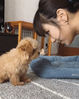 動物,犬,猫,しつけ,飼い方,育て方,病気,健康