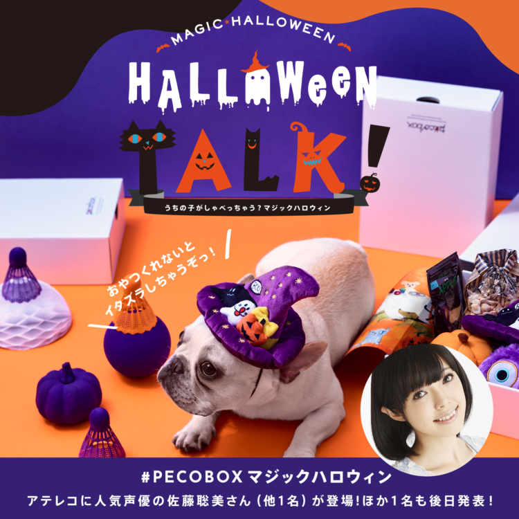 動物,犬,猫,しつけ,飼い方,育て方,病気,健康