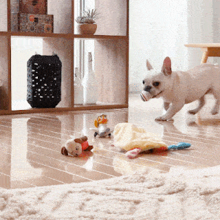 PECOBOX(ペコボックス)をもらった犬