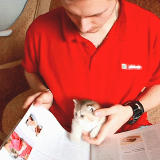 動物,犬,猫,しつけ,飼い方,育て方,病気,健康