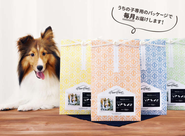 動物,犬,猫,しつけ,飼い方,育て方,病気,健康