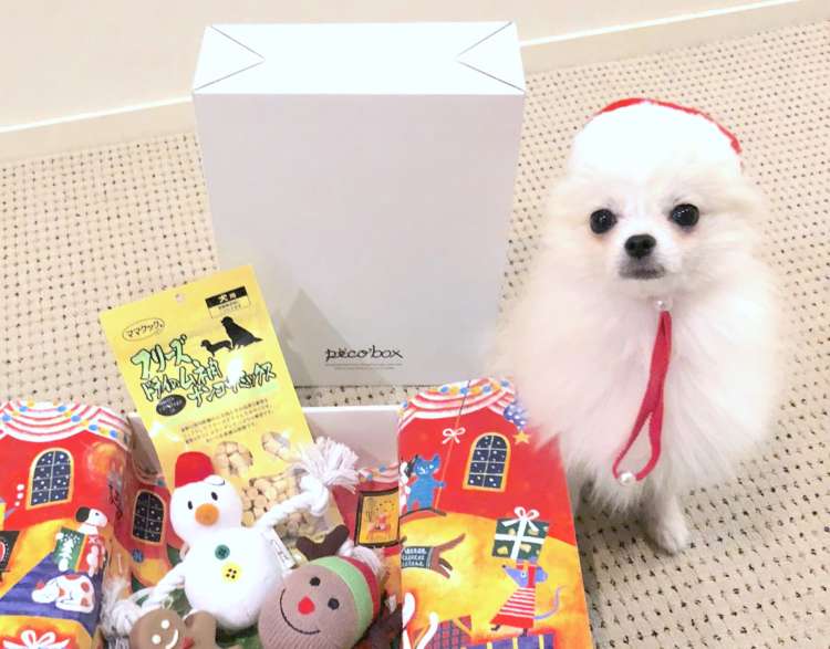 動物,犬,猫,しつけ,飼い方,育て方,病気,健康