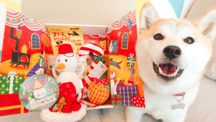 PECOBOXクリスマス号には、何が入っていた? 中身を覗いてみました♪