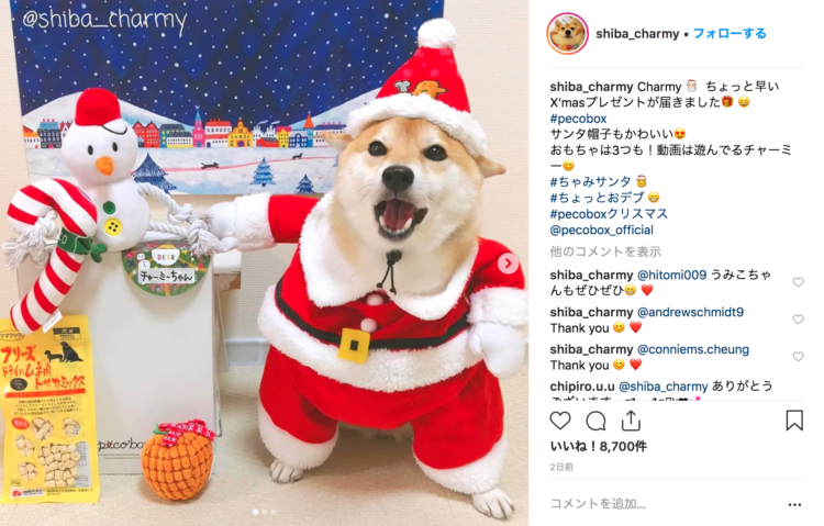 動物,犬,猫,しつけ,飼い方,育て方,病気,健康