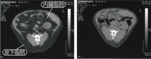 動物,犬,猫,しつけ,飼い方,育て方,病気,健康