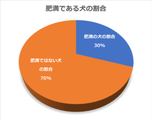 動物,犬,猫,しつけ,飼い方,育て方,病気,健康