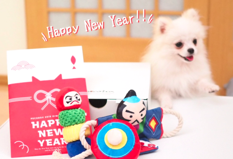 PECOBOXお正月号、期間限定受付中♪ 愛犬が喜ぶギフトについて、詳しく解説します!