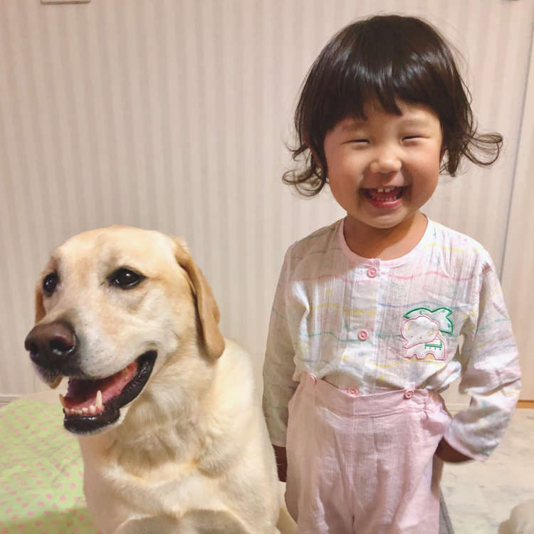 動物,犬,猫,しつけ,飼い方,育て方,病気,健康