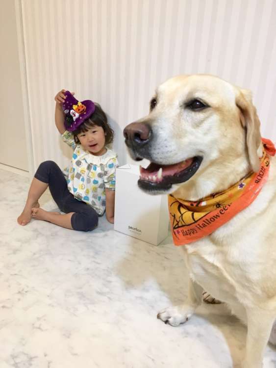 動物,犬,猫,しつけ,飼い方,育て方,病気,健康