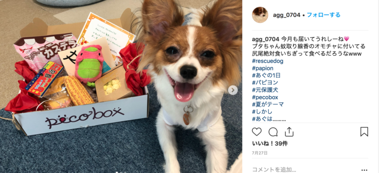 動物,犬,猫,しつけ,飼い方,育て方,病気,健康