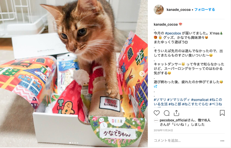 動物,犬,猫,しつけ,飼い方,育て方,病気,健康