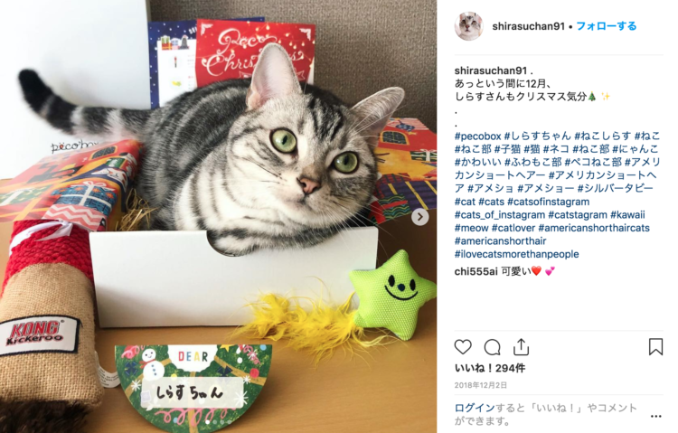 動物,犬,猫,しつけ,飼い方,育て方,病気,健康